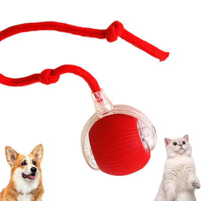Smart Rolling LED Pet Toy Ball | Automatic USB Rechargeable Interactive Ball for Cats, Kittens, Puppies & Small Dogs