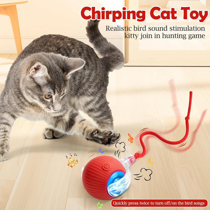 Smart Rolling LED Pet Toy Ball | Automatic USB Rechargeable Interactive Ball for Cats, Kittens, Puppies & Small Dogs