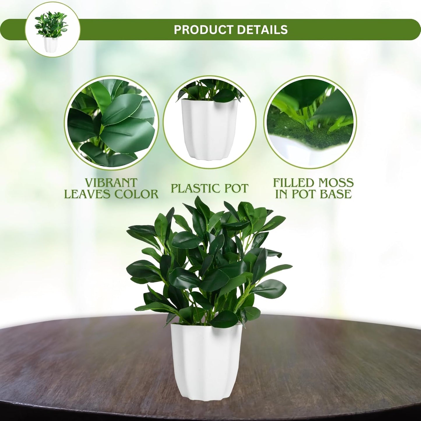 Artificial Rubber Plant with Pot | Natural Looking Ficus Decorative Plant for Home & Office Decor