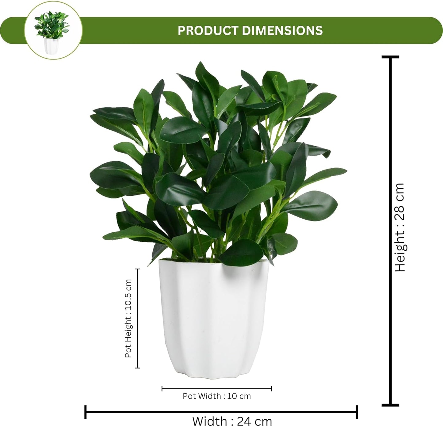 Artificial Rubber Plant with Pot | Natural Looking Ficus Decorative Plant for Home & Office Decor