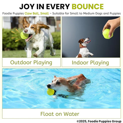 Latex Rubber Squeaky Dog Chew Ball Toy | Durable Teething & Fetch Toy for Puppies and Small to Medium Dogs | Paw Design Dental Cleaning Ball